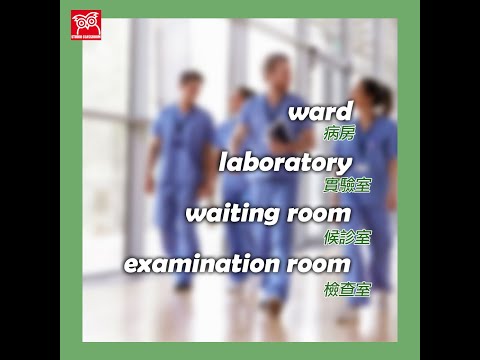 【Vocabulary Cards】國際護士節 International Nurses Day #3