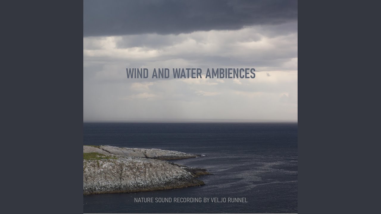 Trees Creaking in the Wind YouTube