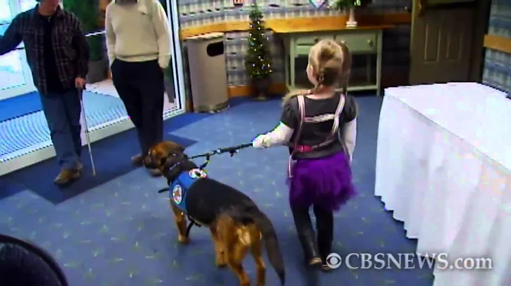 Dog Used to Detect Seizures in 6-Year-Old