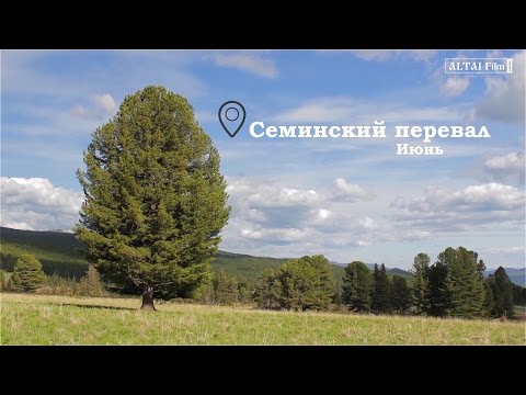Видеоролик: Летом на Семинском перевале