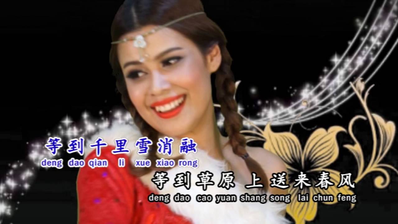 黄子彬~新草原之夜【HD高清】