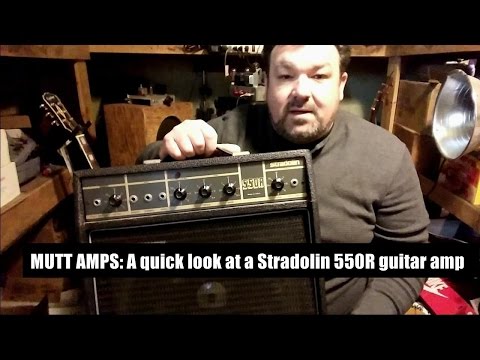 mutt-amps:-a-quick-look-at-a-stradolin-550r-solid-state-guitar/harp/keyboard-amplifier