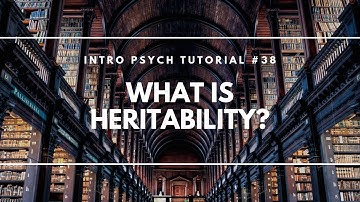 What is Heritability? (Intro Psych Tutorial #38)