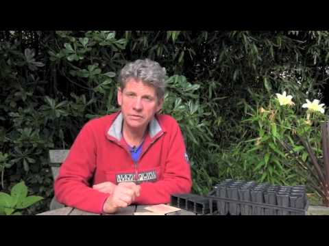 THINGS TO DO IN YOUR GARDEN IN OCTOBER