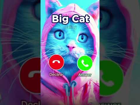 Cat Callrintone New Ringtone Callringtne Mobilephone