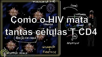 O que acontece a uma pessoa que perde seus T helper CD4?