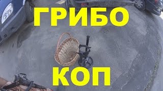 Грибо коп.