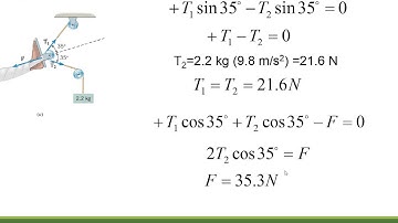 5 Equilibrium Applications of Newton