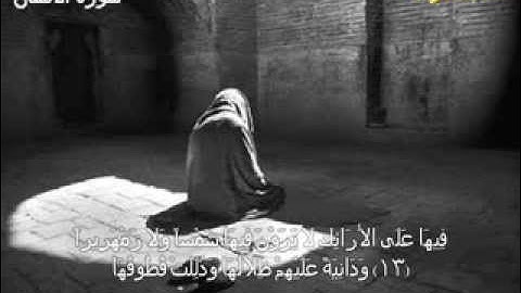 سورة الانسان الشيخ جمال عبد الحميد الجعفرى