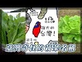 臺灣奇怪的蔬菜名稱：A菜和大陸妹｜我的學習筆記 #shorts