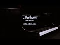 L beethoven piano sonata no 4 op7 andrei andreev