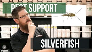 How do I Protect Books and Paper from Silverfish? | Pest Support