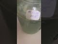 Бойлы Хард после 15 суток нахождения в воде
