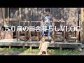 50歳の田舎暮らしとDIY｜年の差婚と子育てVLOG