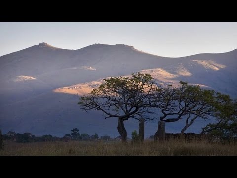 Юрий Визбор — "Мадагаскар".