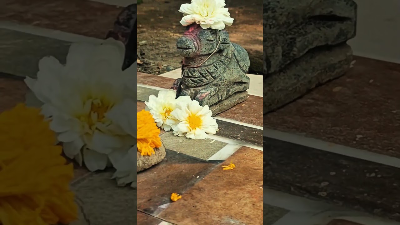 Mini vlog #03 Study&bull; Drive &bull; Temple &bull; Family #dailyvlog #marathivlog #akola #shorts #reels #newreel