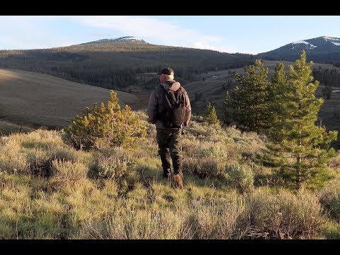 Hiking Yellowstone Grizzly Country - June 2
