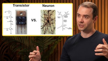 How LLMs are unlike the human brain – Andrej Karpathy