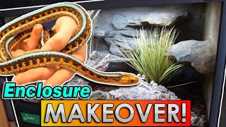 Our RedSided Garter Snakes get an Upgrade!