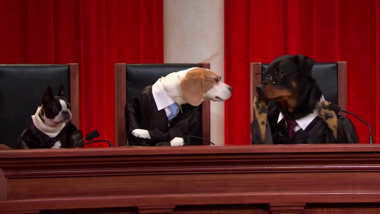 Samsung Electronics Co. v. Apple Inc.: Oral Argument - October 11, 2016