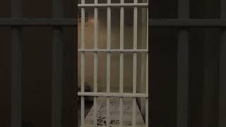 Danny Williams Reveals How Many Hours a Day He Spends in a Cell | Sing Sing #prisonstories