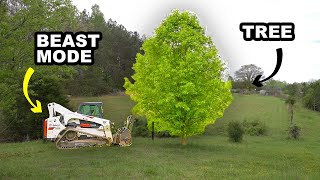 Amazing What this Forestry Mulcher Machine will do (EXTENDED VIDEO)