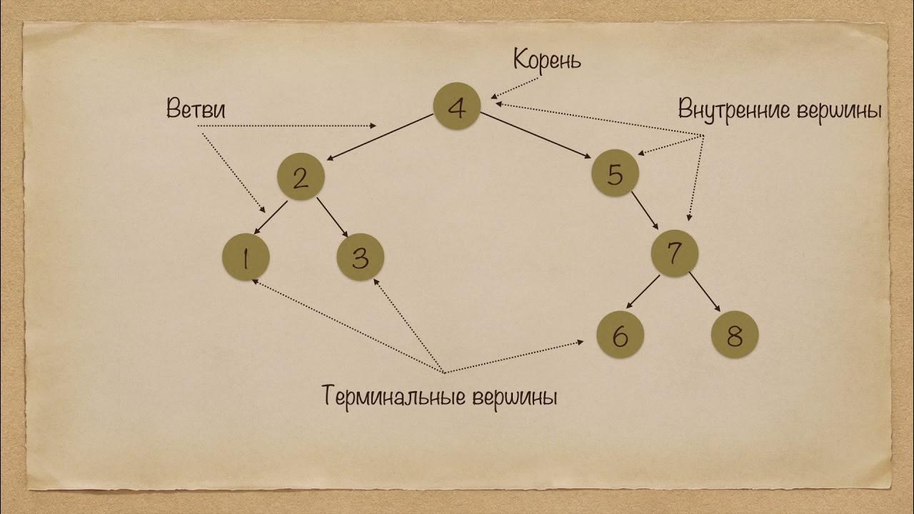 ветви и вершины. теория графов для чайников. структуризация информации деревья. ветви и вершины. диаметральная цепь в графе.