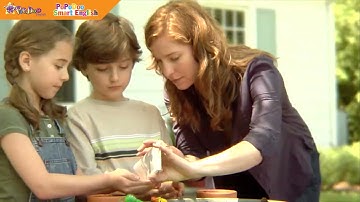 Unit 6 Channel 21st - The seasons | GIVE ME FIVE - LEVEL 2