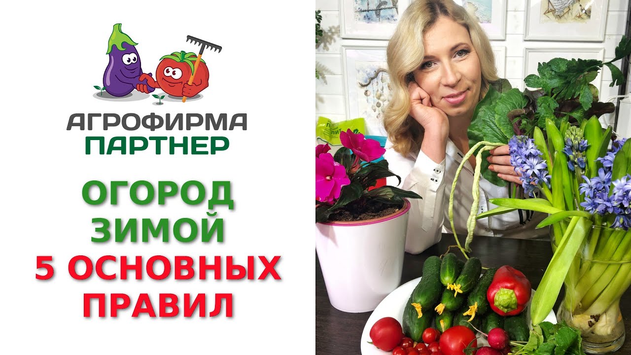 Огород Зимой Фото Огород Зимой Фото