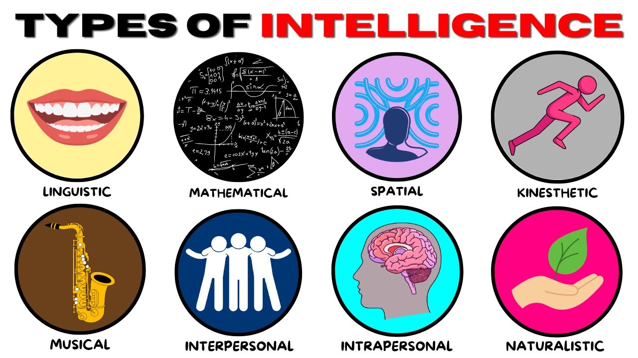 Every Type of Human Intelligence Explained in 14 Minutes