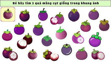 Tìm Hình Theo Yêu Cầu | Thử Tài Tinh Mắt Bé Yêu |Nguyễn Thị Lan Anh