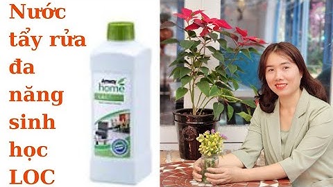 Minh hoa và hướng dẫn sử dụng nước tẩy rửa đa năng sinh học LOC Amway