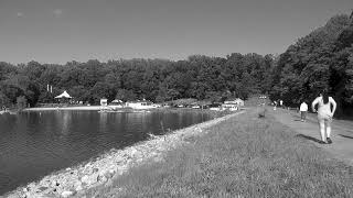 Lake Accotink Reservoir from the Dam — A Stationary Observation (May 2026)