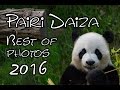 Best of photos  pairi daiza 2016 4k