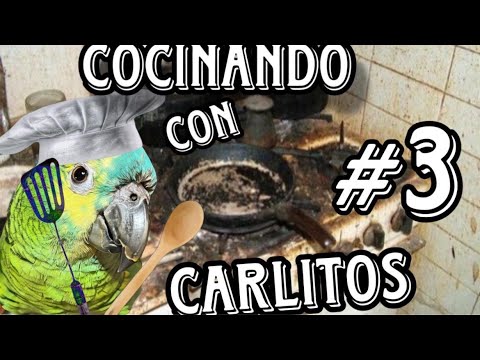 Carlitos COOKS 3!