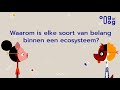 Oog in oog  waarom is elke soort van belang binnen een ecosysteem