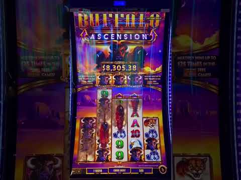 Majestic pride (Ship casino)+ Fontainhas color house + Dona paula | Day 4
