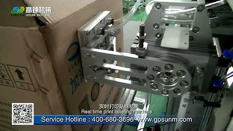 Print and Apply Labeling Machine in Real Time