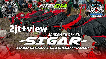 DJ BANTENGAN‼️( SIGAR ) "LEMBU SATRIO" FT @arpedamproject