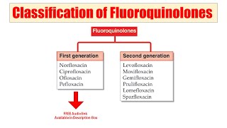 (52) Fluoroquinolones | Fluoroquinolones Classification| AUDIO Classification of Fluoroquinolones
