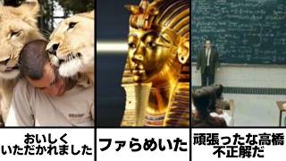 【総再生数６億６０００万回超え】感情込めてボケてにアフレコしてツッコんでみたらヤバすぎたｗｗｗｗ【第５０４弾】