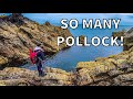 Shore fishing for pollock in south west scotland  sea fishing uk 4k