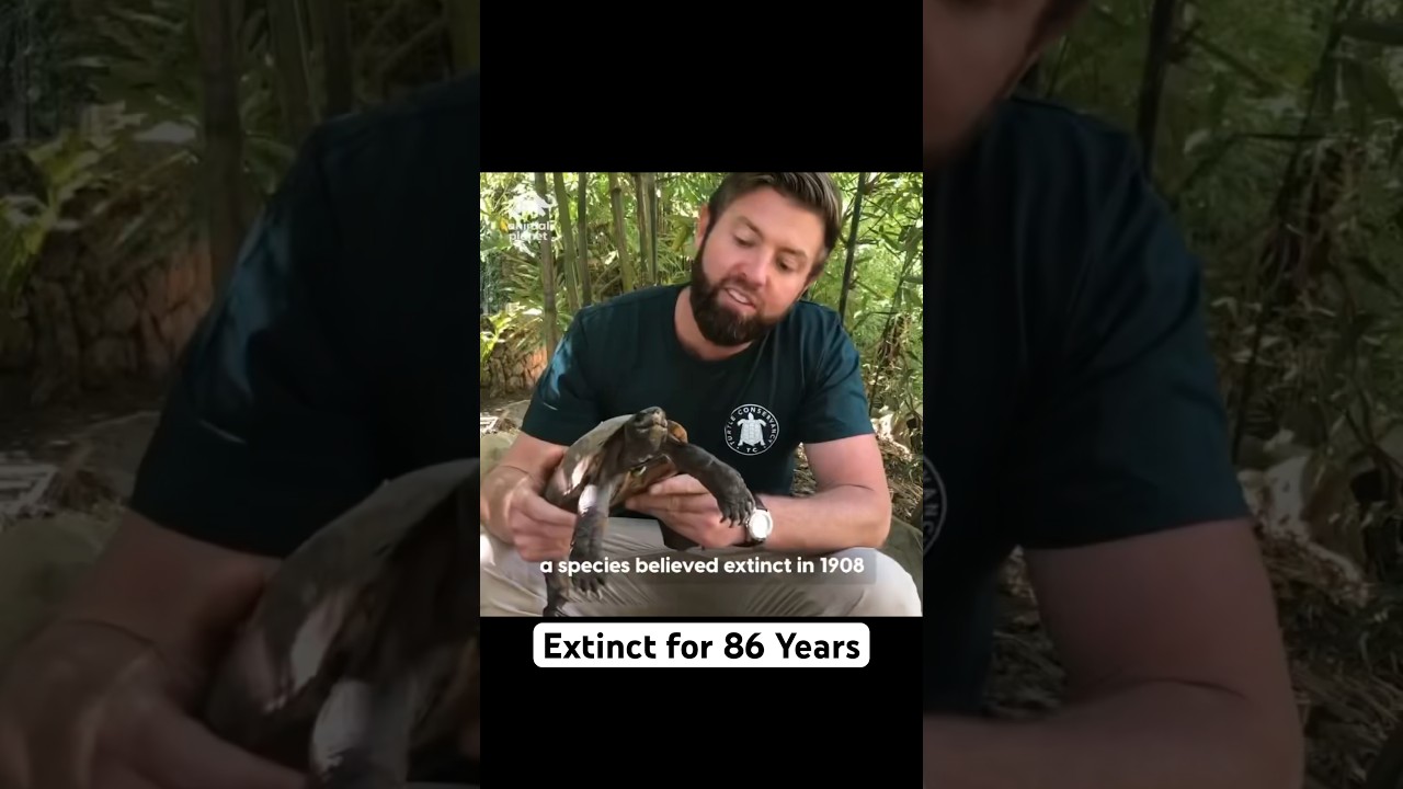 Unique Turtle Thought Extinct For Almost 90 Years