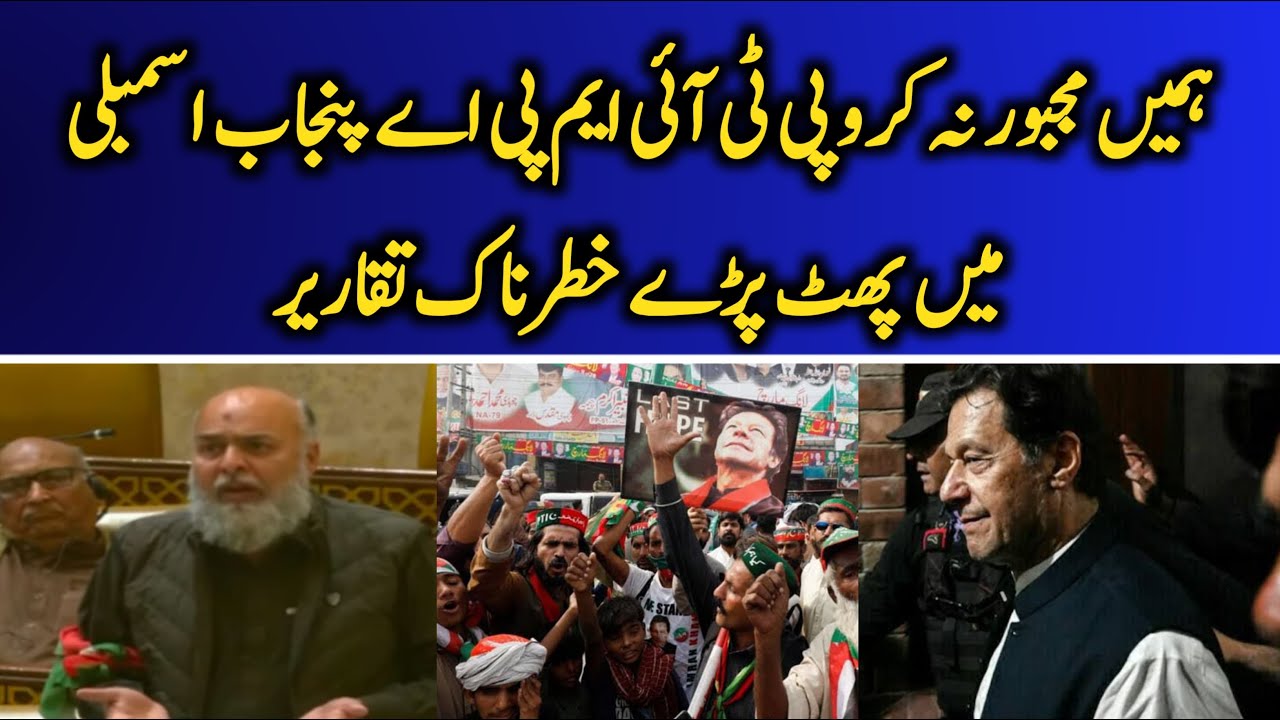 ⚠️ "Don't Force Us Into Armed Struggle!" 😡 | PTI MPA Shahid Raza Fiery Speech 🔥 | Punjab Assembly 🏛️