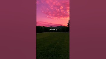 إِنَّ الصَّلَاةَ تَنْهَىٰ عَنِ الْفَحْشَاءِ وَالْمُنكَرِ | سورة العنكبوت - الآية 45 | #قرآن