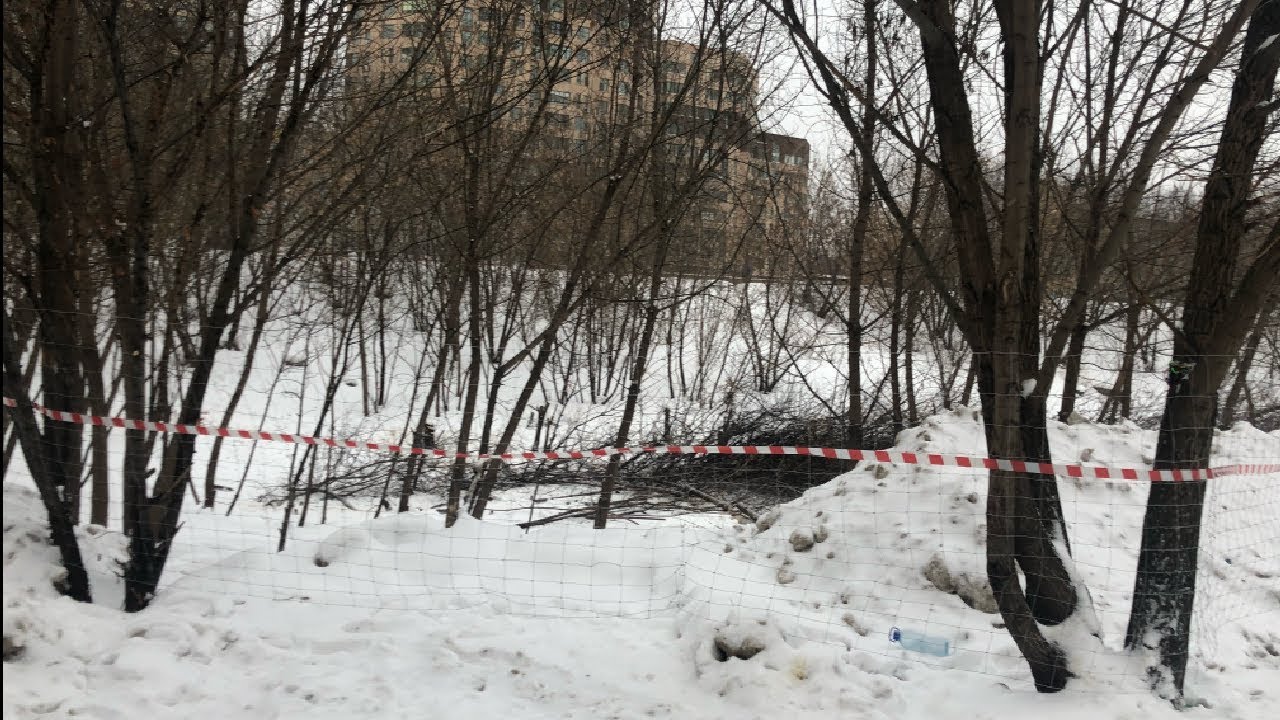 Вырубка деревьев на Новороссийской 25 к. 1 в Москве под видом ТПУ / LIVE 17.01.19