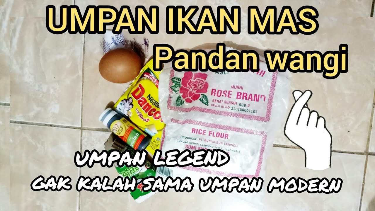 Umpan ikan mas pakai pandan, umpan senior senior terdahulu