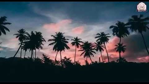 سورة الانسان - سالم الرويلي.