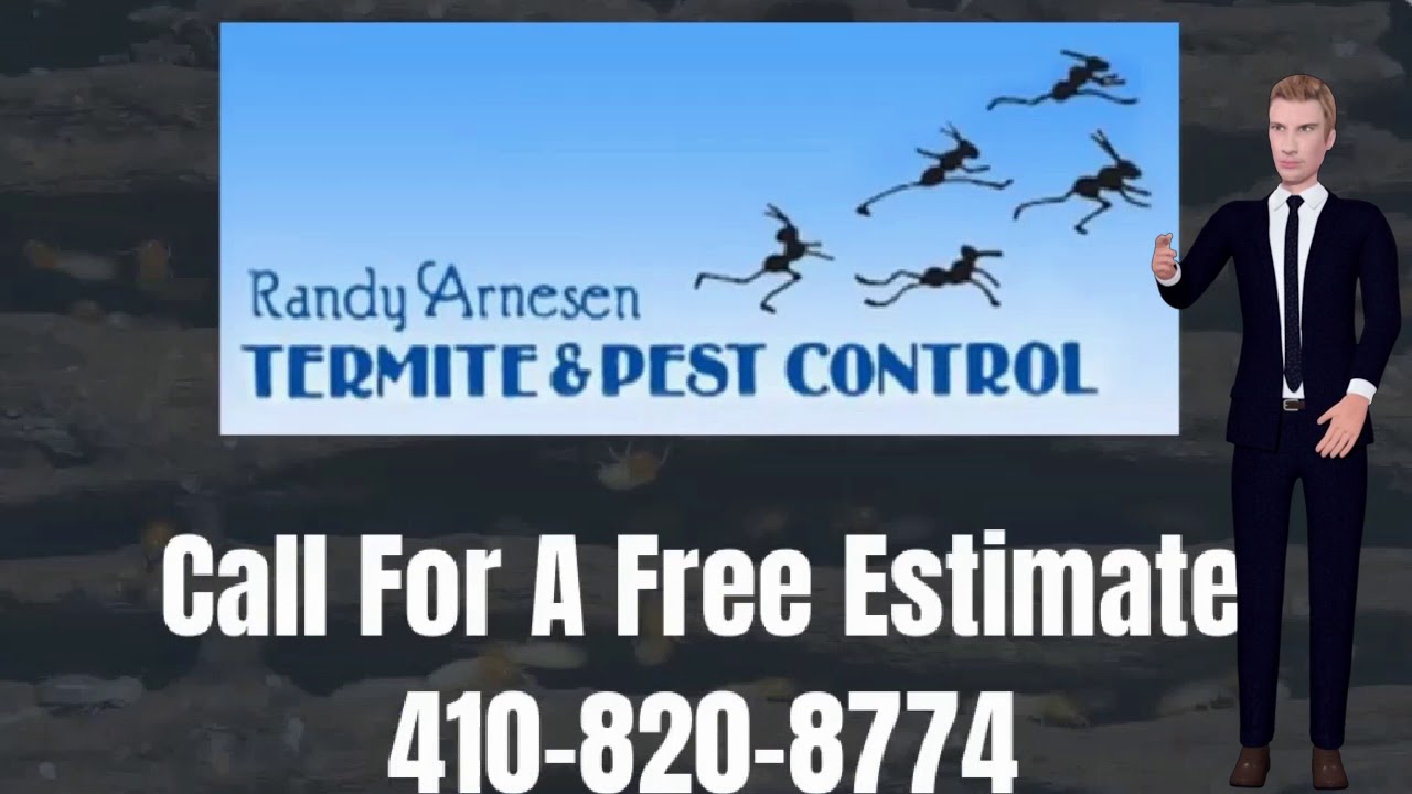 Top local easton maryland termite and pest control company serving the eastern shore over 30