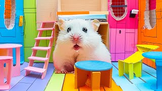 Hamster Conquers the Most Dangerous Prison Maze A Marvelous Journey 🐹 DIY Hamster Maze